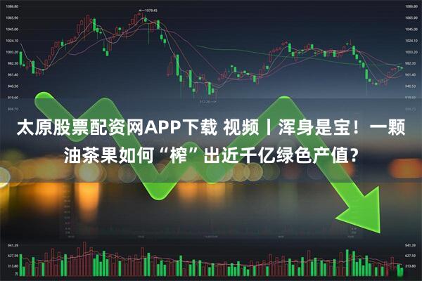 太原股票配资网APP下载 视频丨浑身是宝！一颗油茶果如何“榨”出近千亿绿色产值？