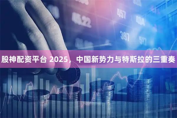 股神配资平台 2025，中国新势力与特斯拉的三重奏