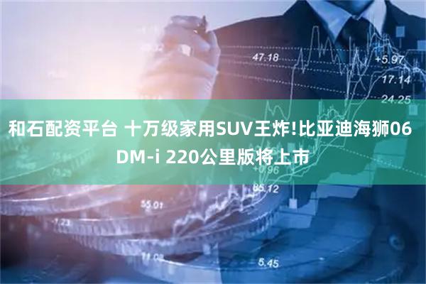 和石配资平台 十万级家用SUV王炸!比亚迪海狮06 DM-i 220公里版将上市