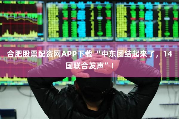 合肥股票配资网APP下载 “中东团结起来了，14国联合发声”！